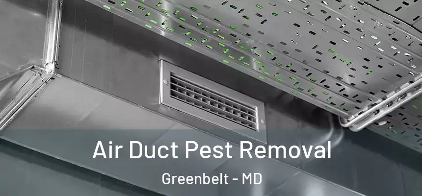  Air Duct Pest Removal Greenbelt - MD
