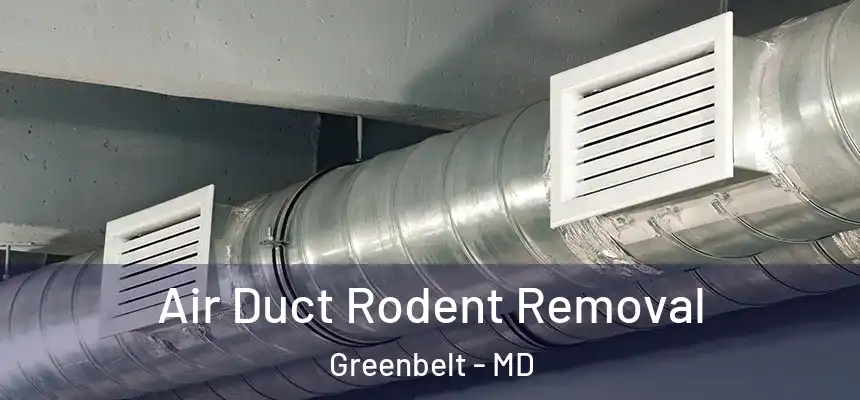  Air Duct Rodent Removal Greenbelt - MD