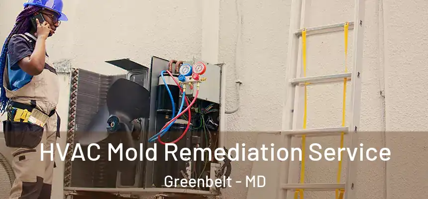  HVAC Mold Remediation Service Greenbelt - MD