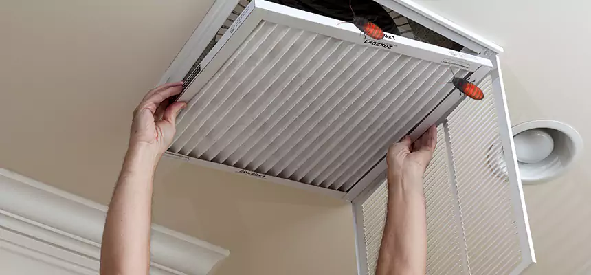 Preventive Cockroach-Proofing for Ducts in Greenbelt