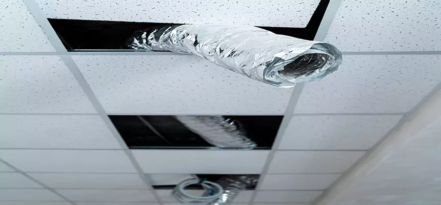 Affordable HVAC Sanitizing After Pest Removal in Greenbelt