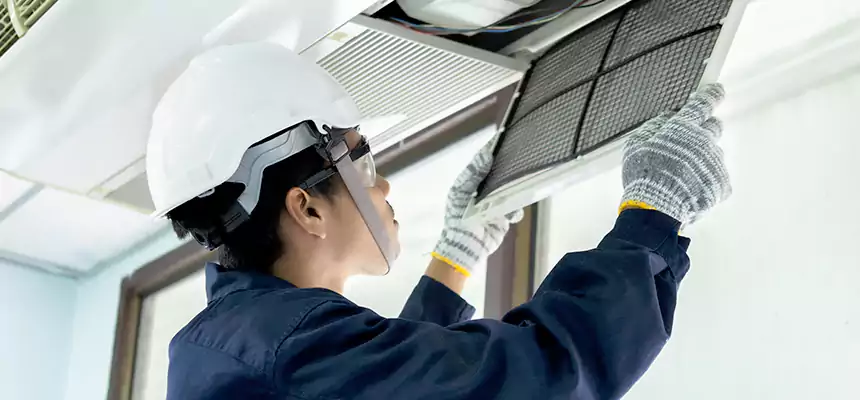 Our Mold & Mildew Removal from Air Ducts Services in Greenbelt, MD