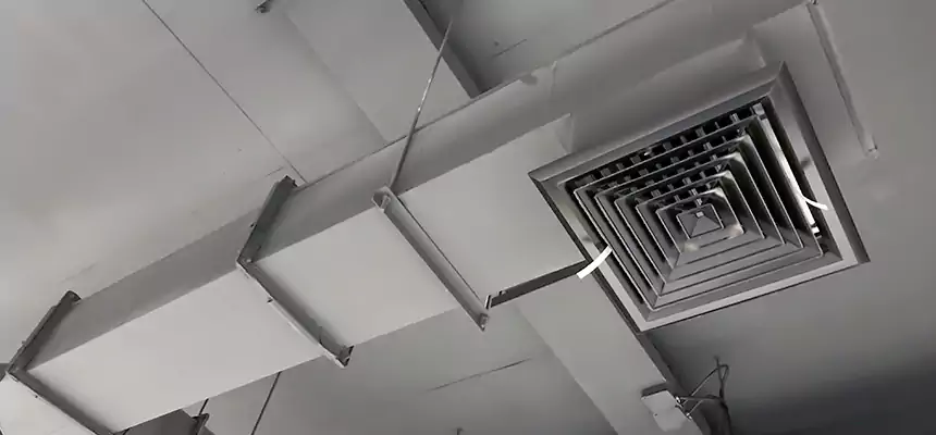 Our Rodent Droppings In Vents Services in Greenbelt, MD