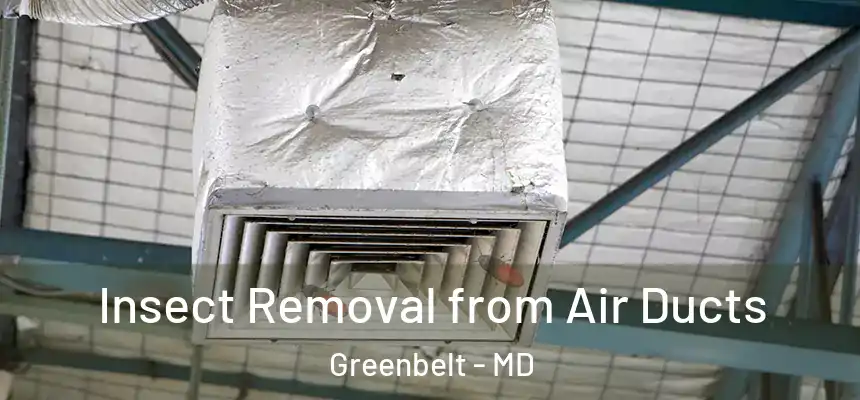  Insect Removal from Air Ducts Greenbelt - MD