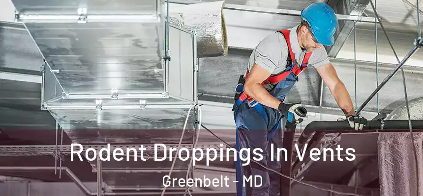  Rodent Droppings In Vents Greenbelt - MD