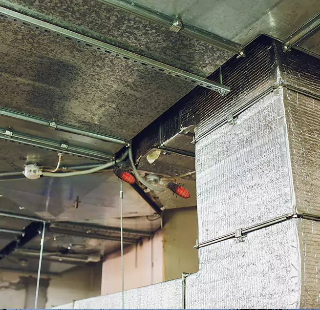 Why Homeowners & Businesses Trust Us Greenbelt, MD?